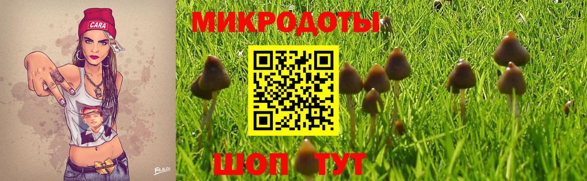 хочу   Галлюциногенные грибы GOLDEN TEACHER  Вход с VPN  Волгоград  Галлюциногенные грибы Psilocybine cubensis 