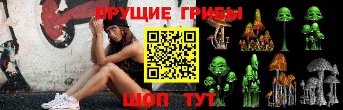 Лсд 25 Волгоград