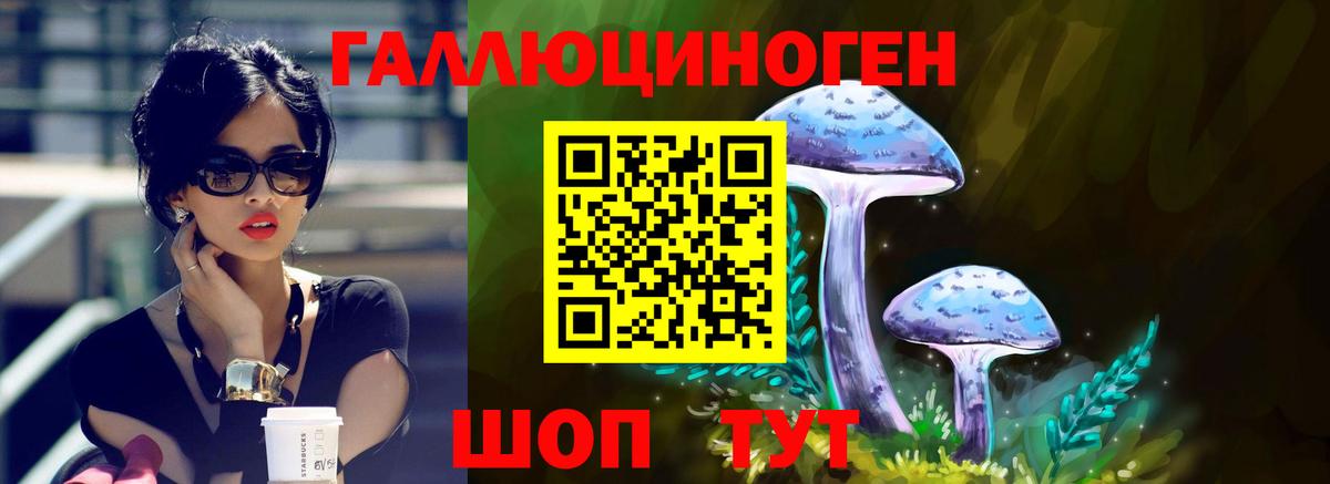 Псилоцибиновые грибы MAGIC MUSHROOMS Волгоград